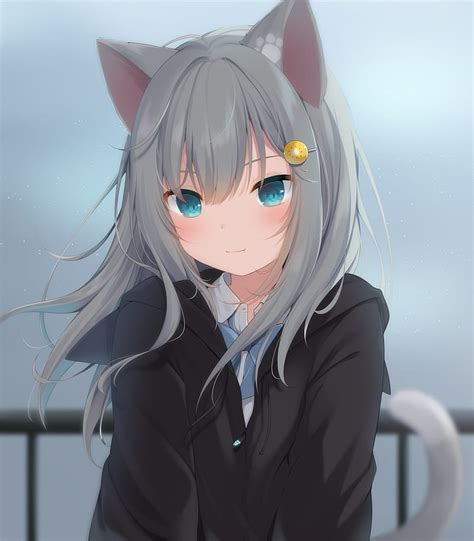 Aggregate More Than 75 Grey Anime Cat Best Vn
