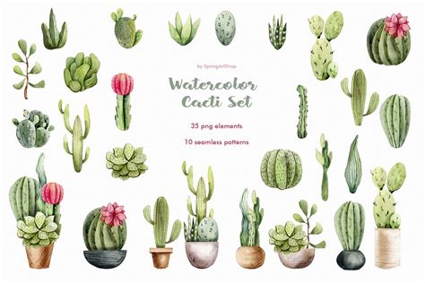 Watercolor Succulents Clipart 10 Free Cliparts Download Images On