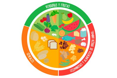 El Plato Del Bien Comer Servicio De Informaci N Agroalimentaria Y