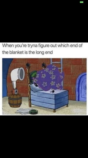 When Youre Tryna Figure Out Which End Of The Blanket Is The Long End