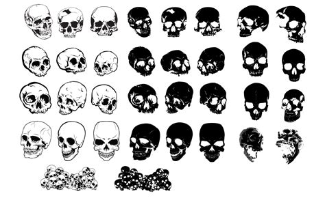 Complete Adobe Illustrator Vector Art Set 5 Skull Vectors