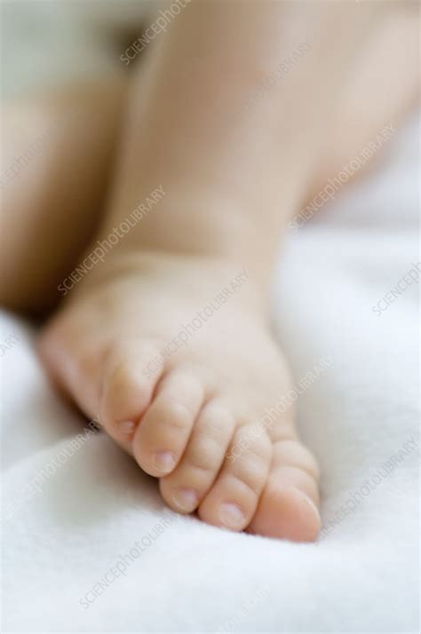 Babys Foot Stock Image M8301827 Science Photo Library