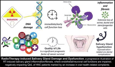 Progression Of Rt Induced Salivary Gland Damage And Dysfunction In Hnc