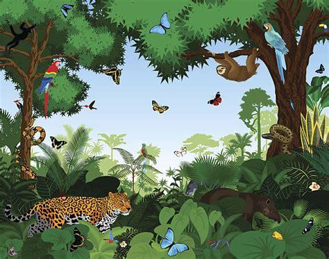 Wild Animals In Amazon Rainforest Vector Cartoon Background Clip Art
