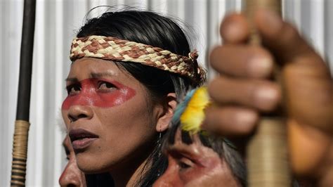 an uncommon victory for an indigenous tribe in the amazon the new yorker