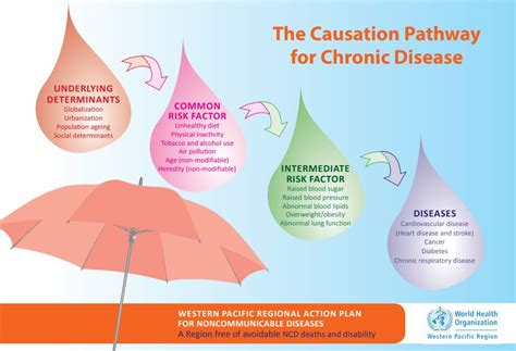 Causal Pathway Of Ncds Public Health Notes