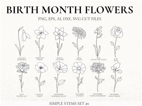 Birth Month Flower Svg Bundle Fine Line Flower Flower Stencil Floral