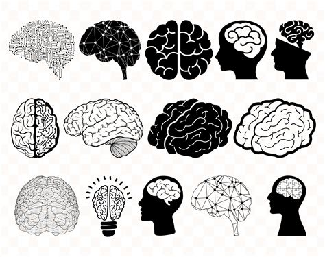 Brain Svg Human Brain Svg Brain Clipart Brain Svg Files Brain Etsy
