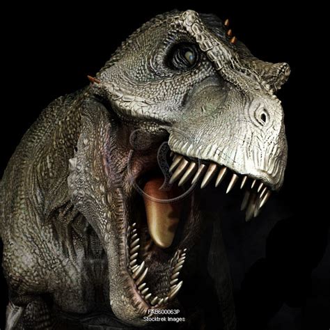 Tyrannosaurus Rex Profile
