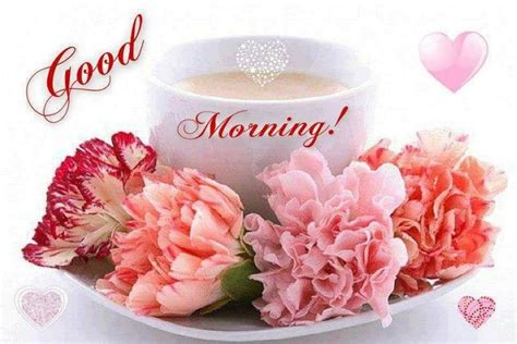 The day is set to bring you good and lovely packages of positive surprises. Pin by Virendra Gupta on Flowers & Quotes | Good morning, Flower quotes, My dear friend