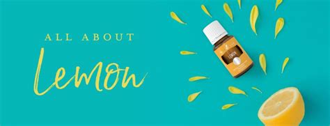 How To Use Lemon Essential Oil Young Living Blog
