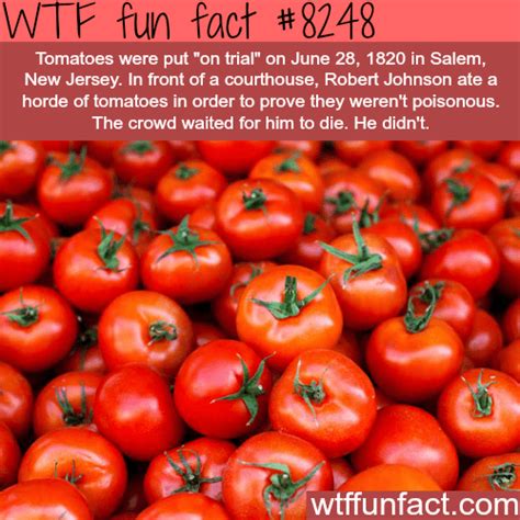 Tomatoes Put On Trial Wtf Fun Facts
