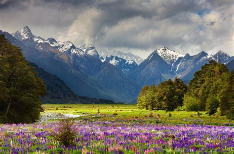 An Ultimate Luxury New Zealand Tour Zicasso