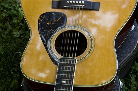 Garden Guitar | One of the many instruments played in the ga… | Matt