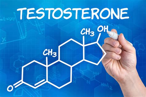What Is Testosterone And What Does It Do All You Need To Know •