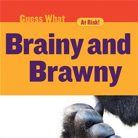 Brainy And Brawny Gorilla Guess What Macheske Felicia Amazon Com Books