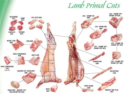 A cow is broken down into what are called primal cuts, the main areas of the animal which include the loin, rib, round, flank, chuck, sirloin, brisket and more. primal meat cuts | Lamb Primal Cuts - Meat Chart ...