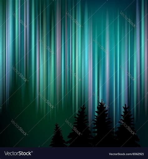 Dark Trees On The Background Of The Night Sky And Vertical Northern