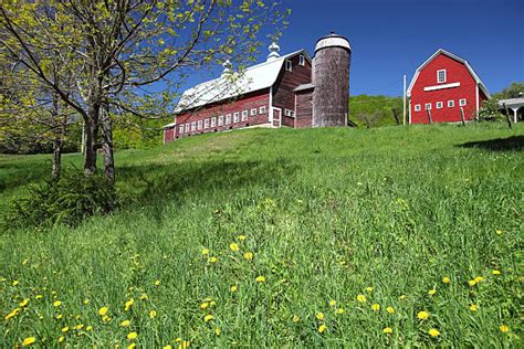 Vermont Spring Photos Stock Photos Pictures And Royalty Free Images Istock