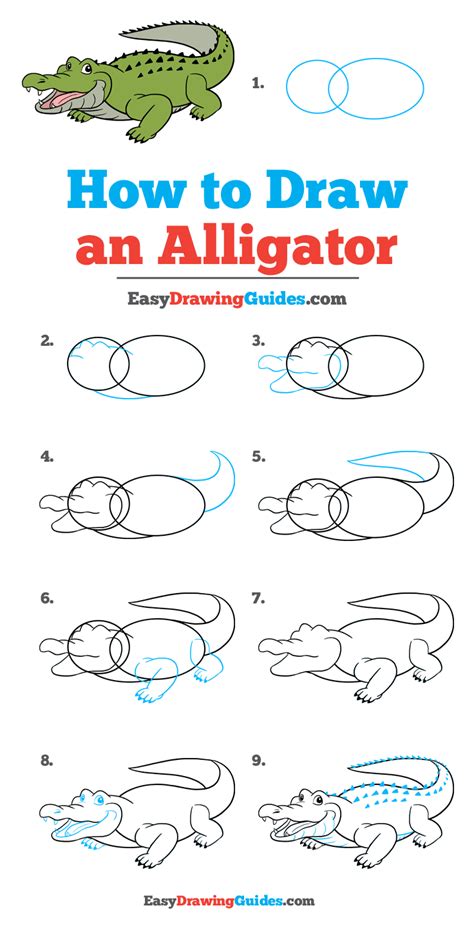 Https://tommynaija.com/draw/how To Draw A Alligator Easy Step By Step
