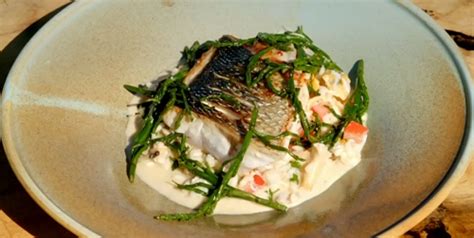James Martin Pan Fried Sea Bass With Samphire And Seafood Risotto Recipe On James Martin’s Great