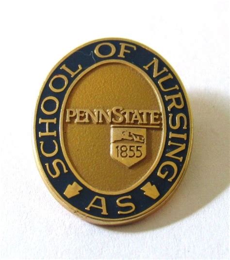 Penn State University Asn Pin Vintage Nurse Nursing Pins Nursing Fun