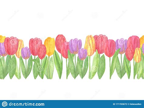 Colorful Tulips Repeat Pattern Horizontal Border Watercolor Spring