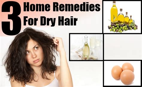 Coconut oil is a wonderful elixir for damaged hair and works great on thick and heavy hair. Home Remedies For Dry Hair With Olive Oil, Eggs And ...