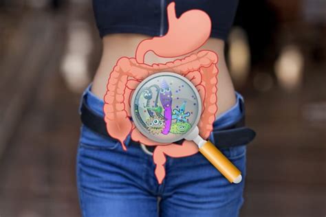 8 Science Based Tips To Improve Your Gut Health Fitneass
