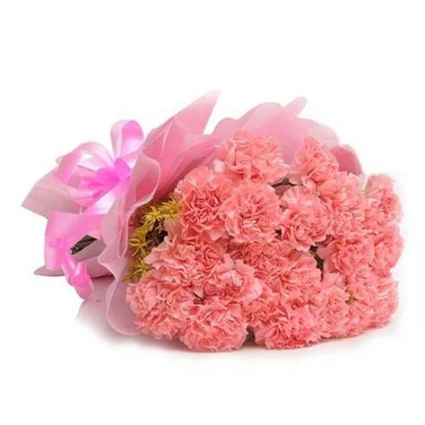Pink Carnations Flower Bunches At Best Price In Ahmedabad By Surprise