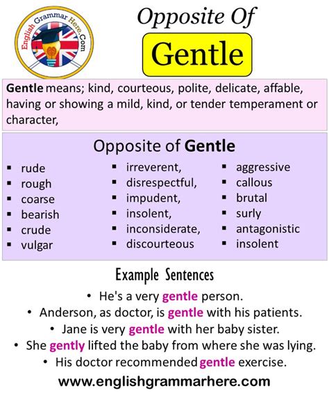 Opposite Of Gentle Antonyms Of Gentle Meaning And Example Sentences