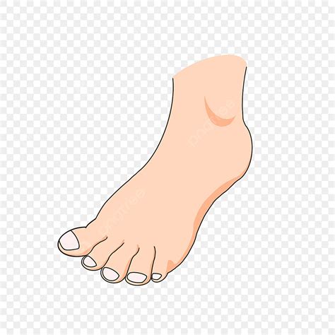Einfache Süße Füße Clipart Fuß Clip Art Hellhäutige Png Und Psd