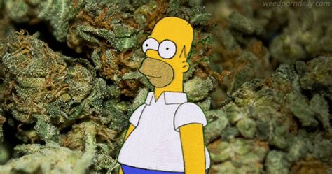 Wut  Trees Simpsons Weed Discover And Share S