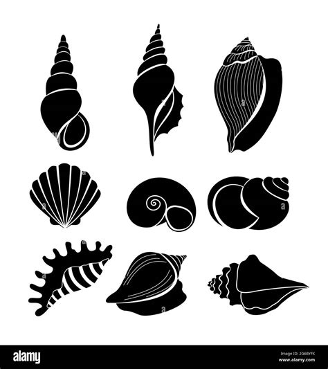 Seashell Set Stock Vector Images Alamy