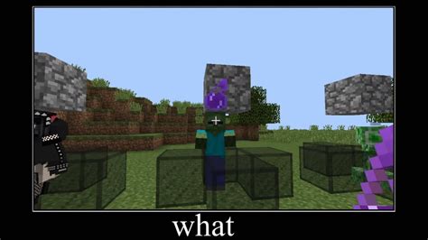 Minecraft Wait What Meme №115 Youtube