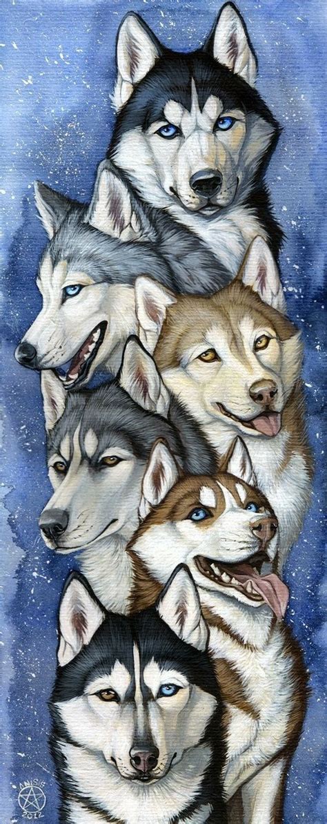 Husky Siberiano ♥️ Dog Drawing Husky Drawing Dog Art