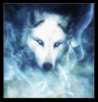 The definitive site for reviews, trailers, showtimes, and tickets. l esprit du loup
