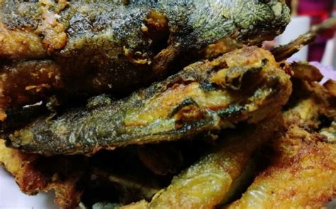 Sambal jengkol ikan teri siap disajikan. Resepi Ikan Keli Goreng Berlada Paling Simple | Iluminasi