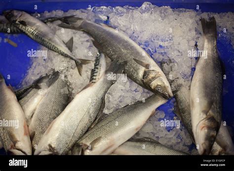Fresh Fish On Ice At The Shop Stock Photo Alamy