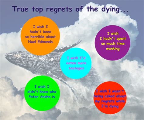 True Top Regrets Of The Dying The Ministry Of Bollocks