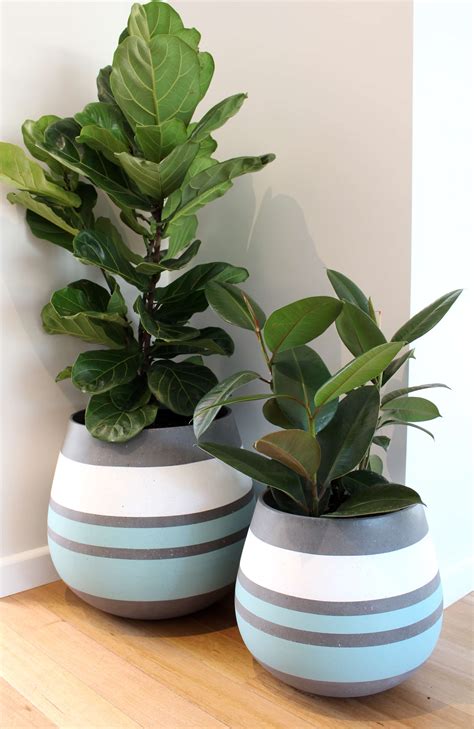 Decorative Indoor Planter Pots