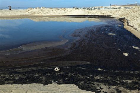 oil spill photos show disastrous scene on southern california beaches