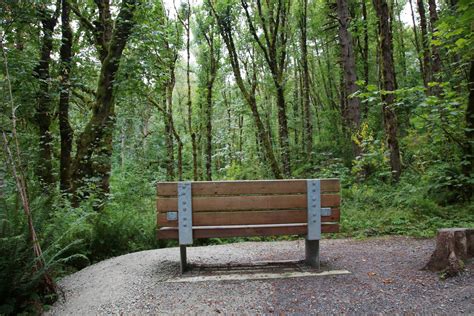 Newell Creek Canyon Is A Quiet New Outdoor Getaway In Oregon City