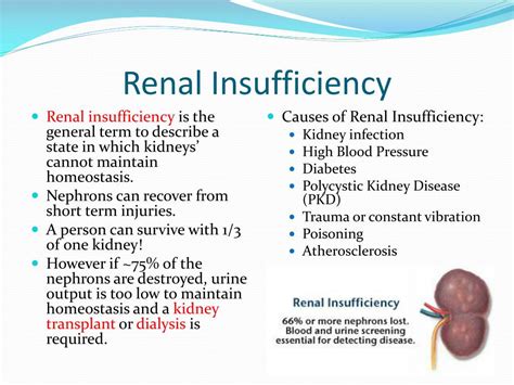 Ppt Kidney Problems Powerpoint Presentation Free Download Id2241474