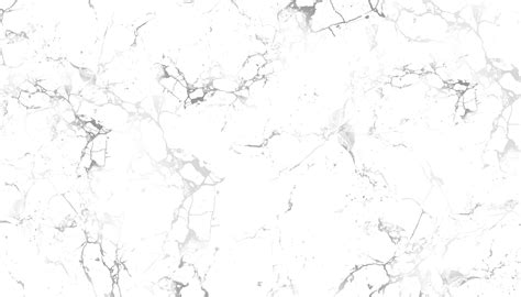 Vector Seamless Pattern White And Gold Marble Texture