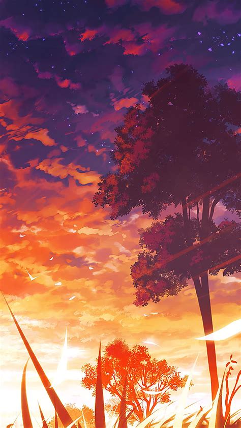 Anime Sunset And Trees Wallpapers Wallpaper Cave