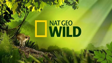 Nat Geo Wild National Geographic Wild Wild Wild Logo