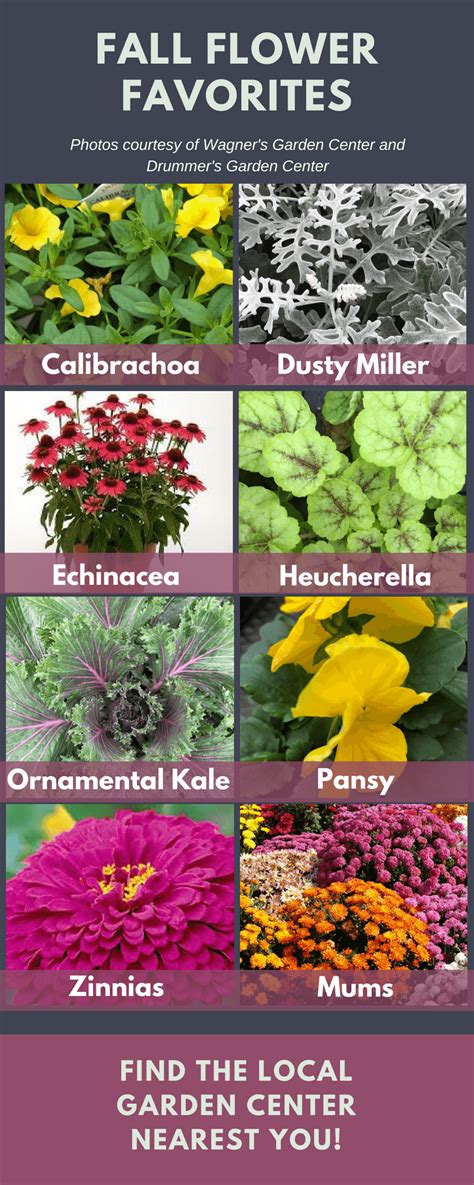 Check out our flower breeding (gardening) guide of animal crossing new horizons switch (acnh). Fall Flowers Re-imagined | Fall flowers, Flower chart, Flowers