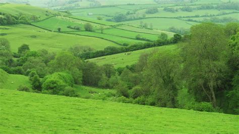 Wiltshire Uk Countryside Stock Footage Video 6082895 Shutterstock
