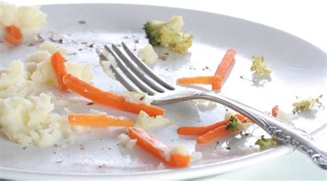 Please report violations, errors, rough vocabulary SISA MAKANAN (PLATE WASTE) - Blog AhliGiziID